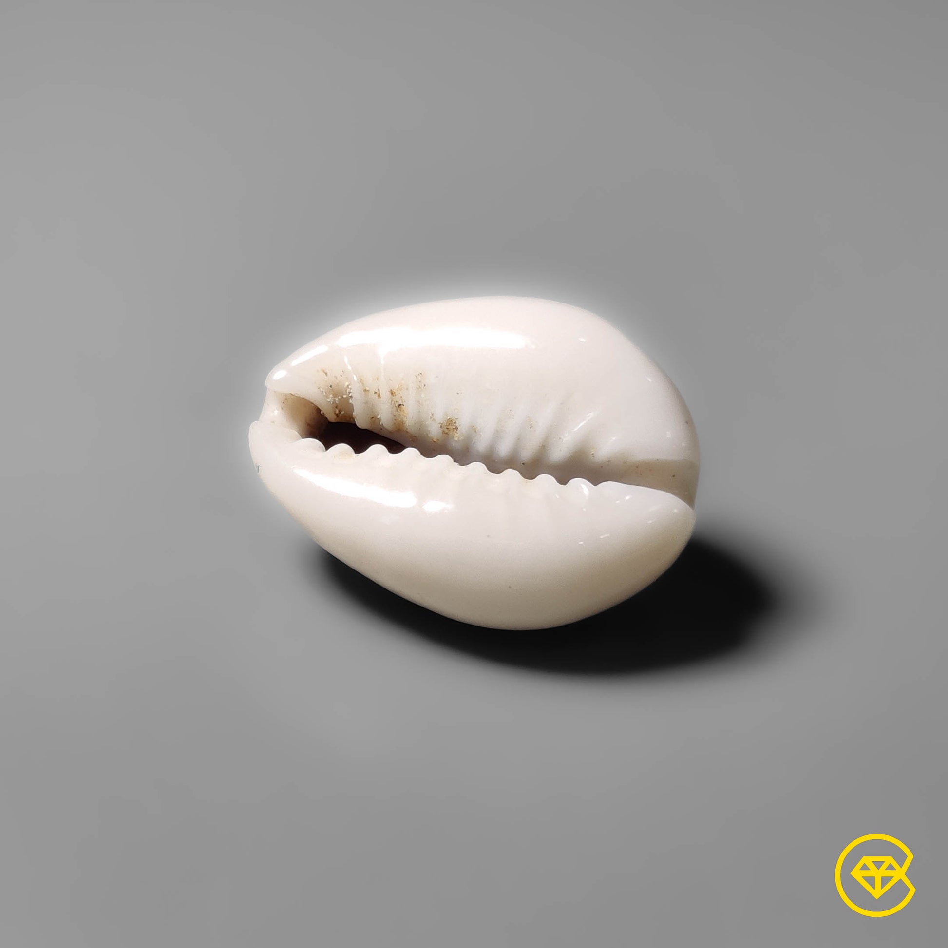 Shell