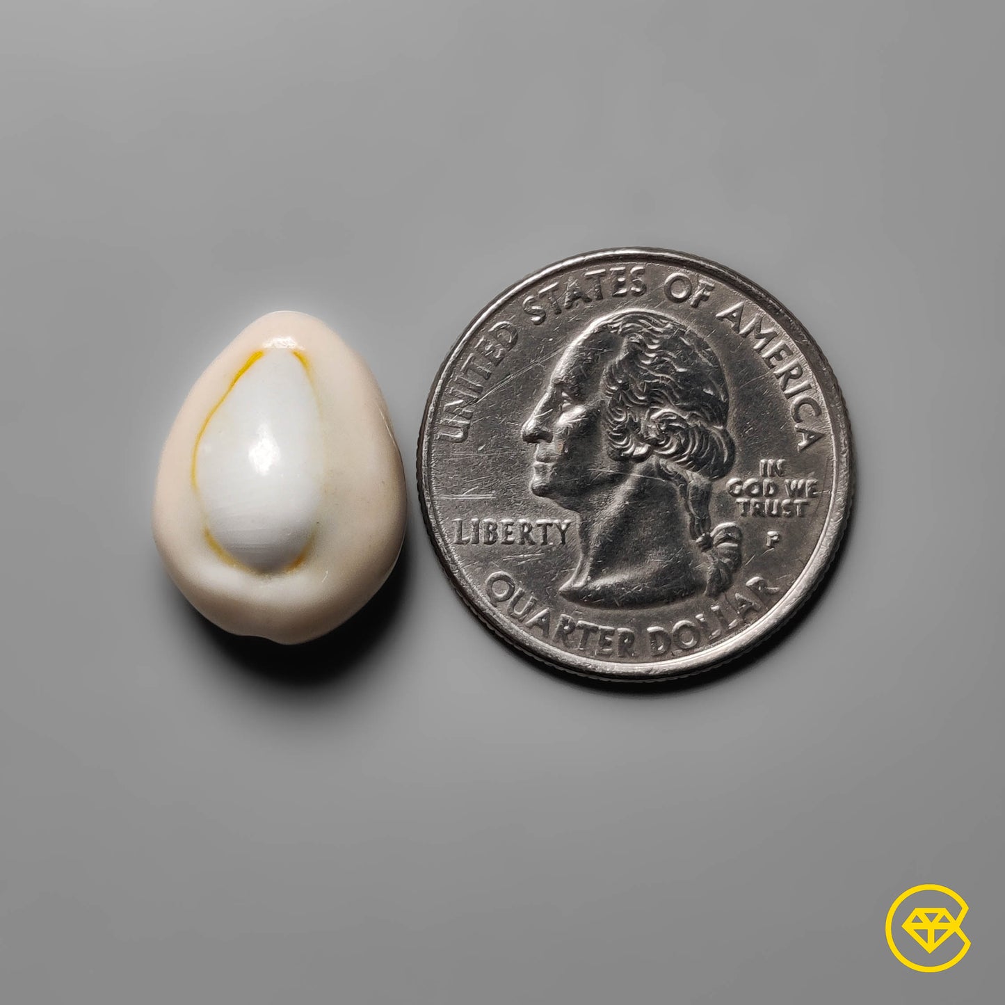 Shell