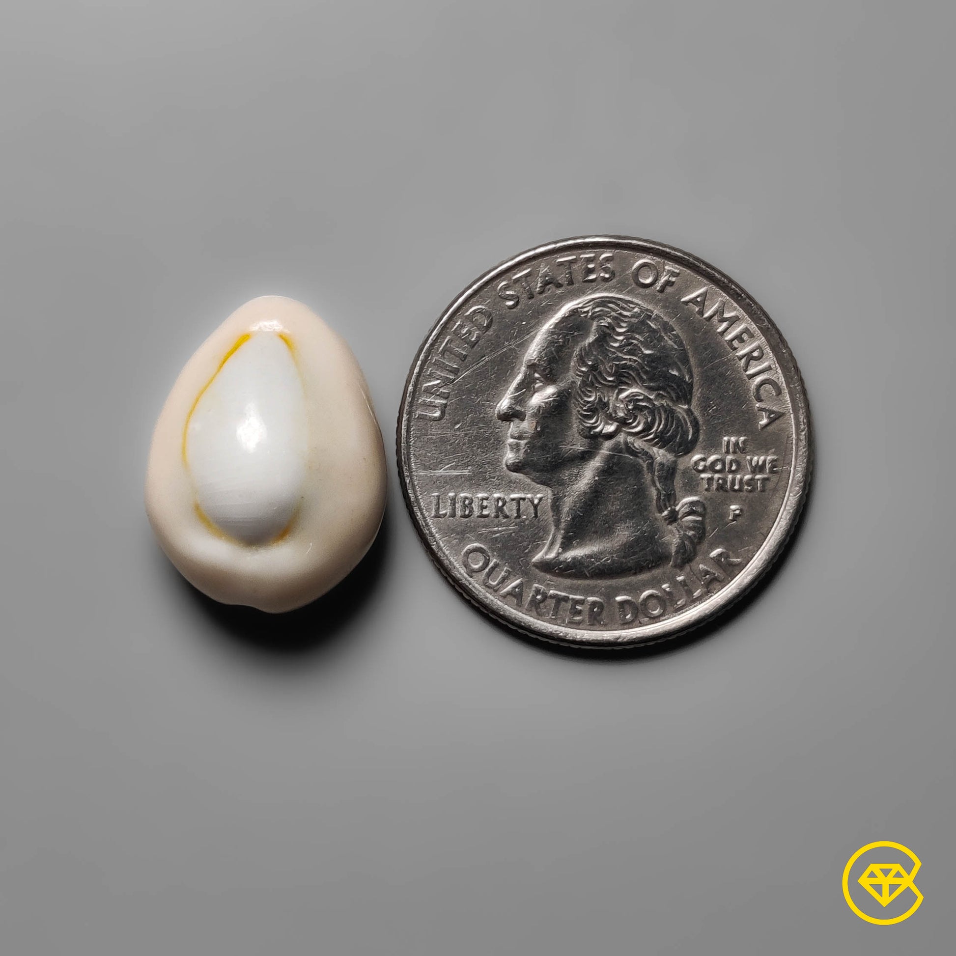 Shell