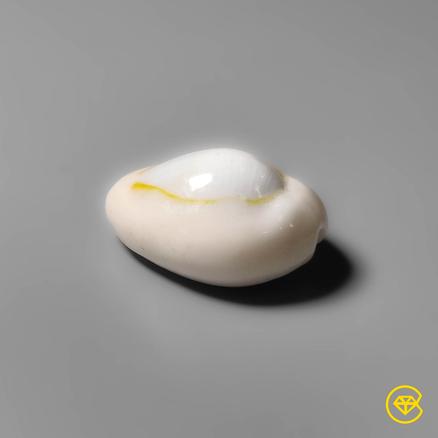 Shell