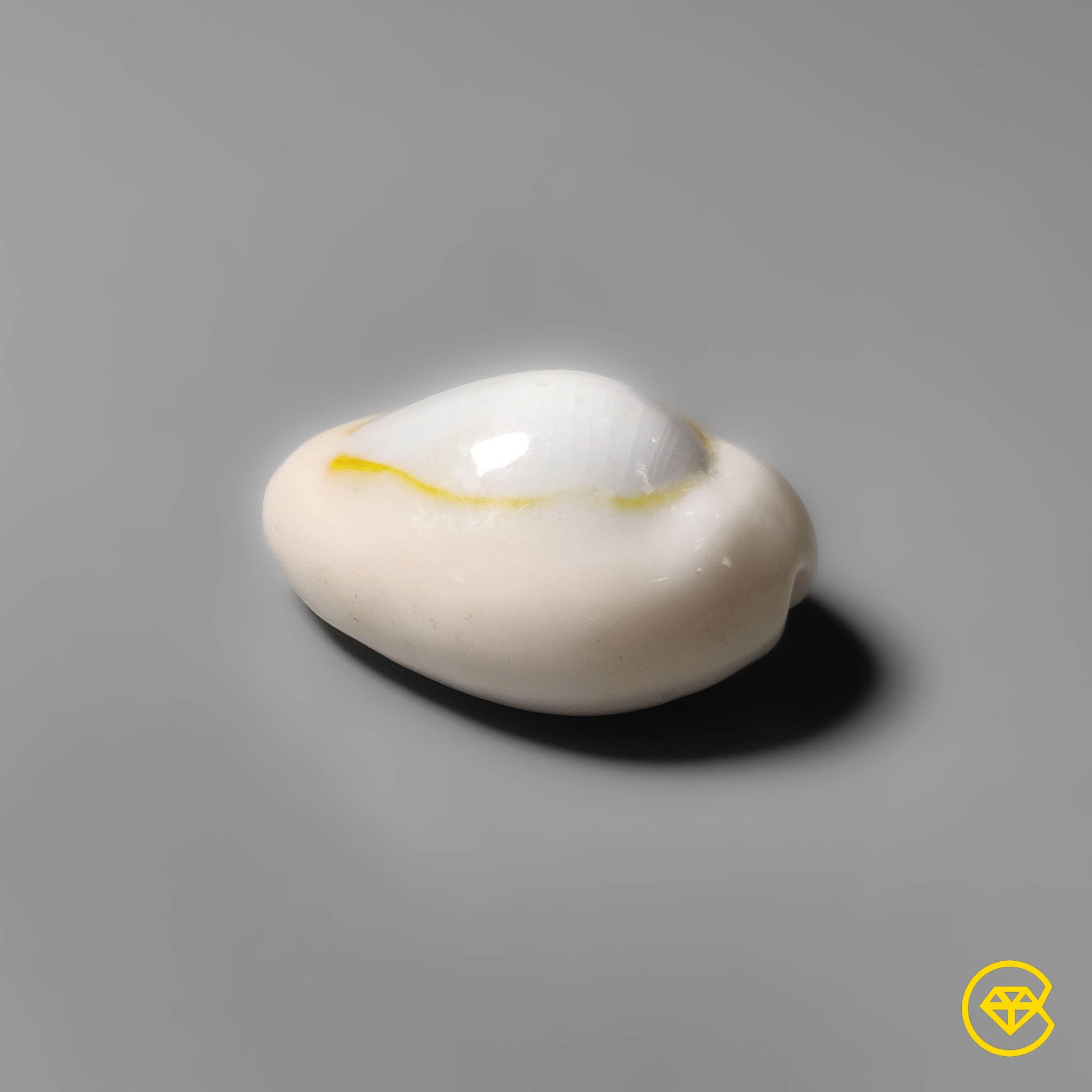 Shell