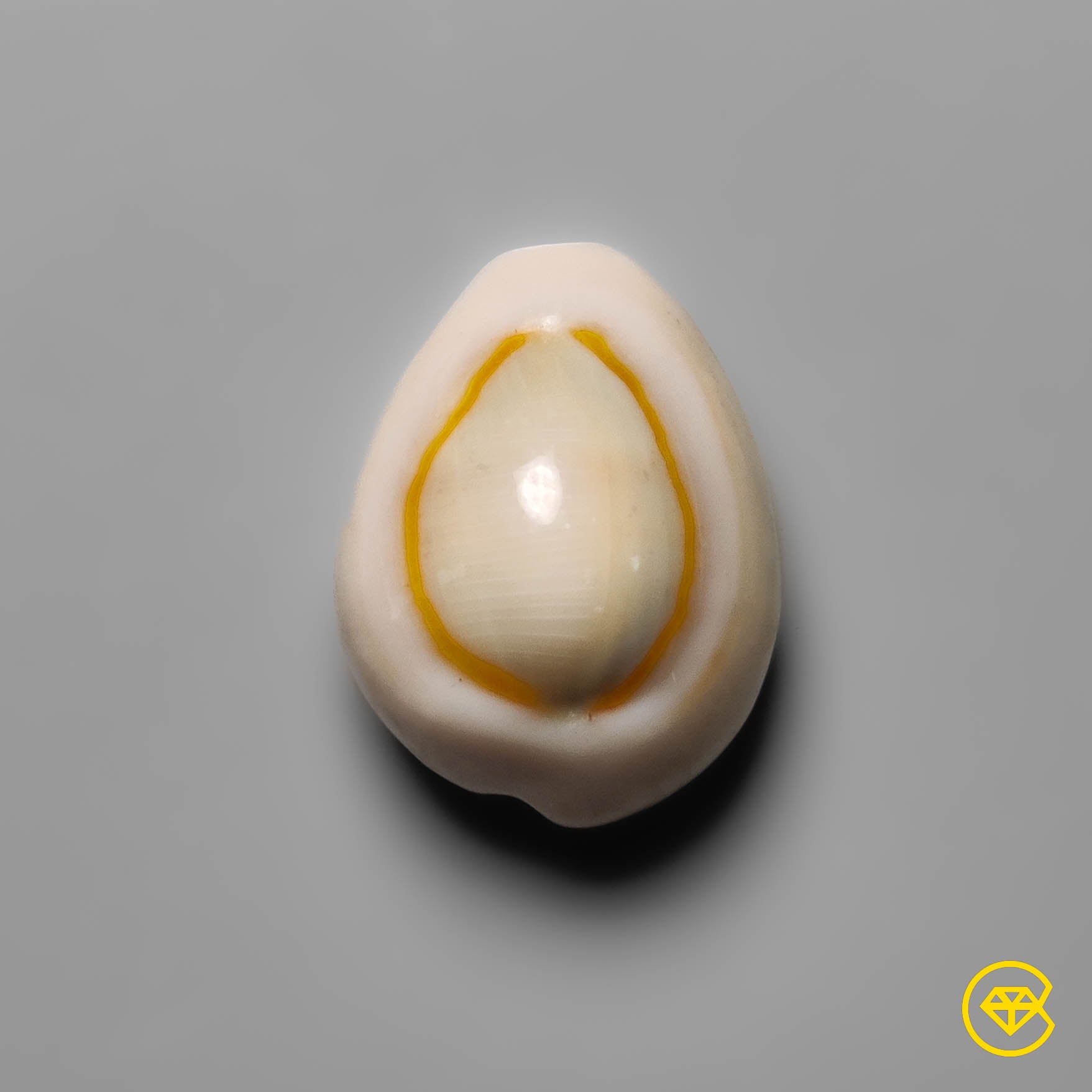 Shell