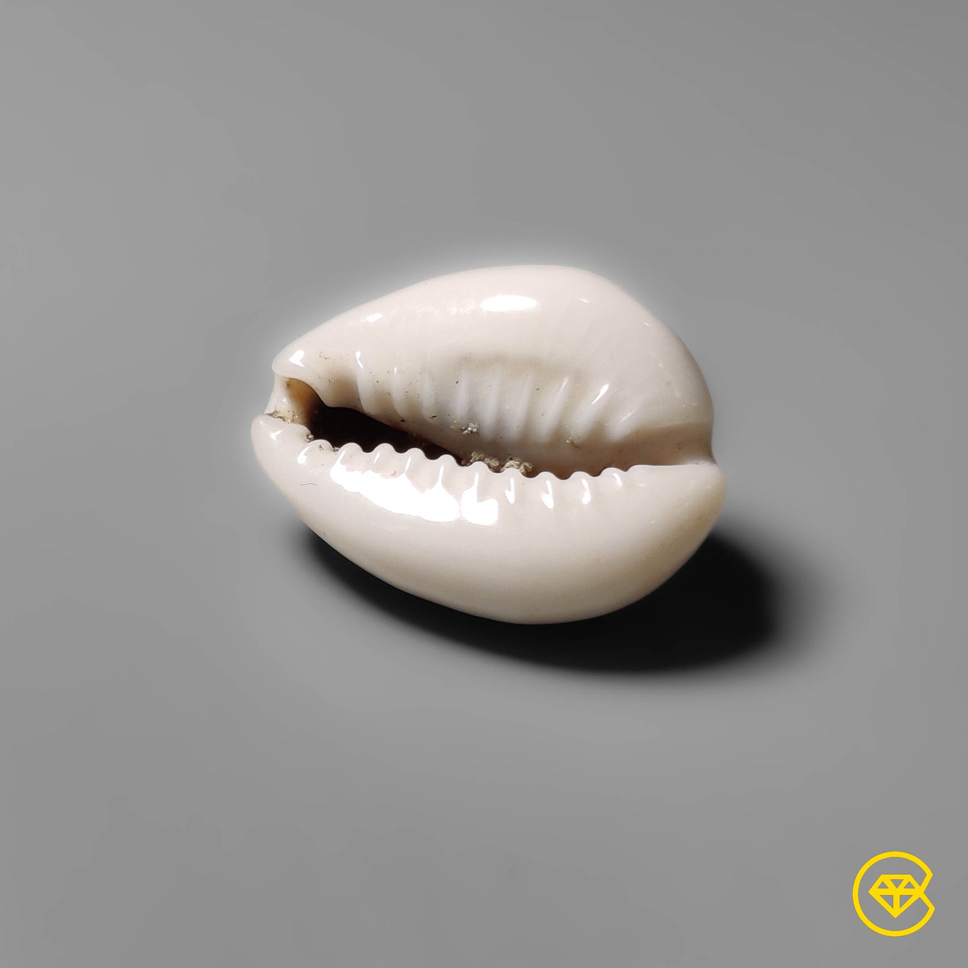 Shell