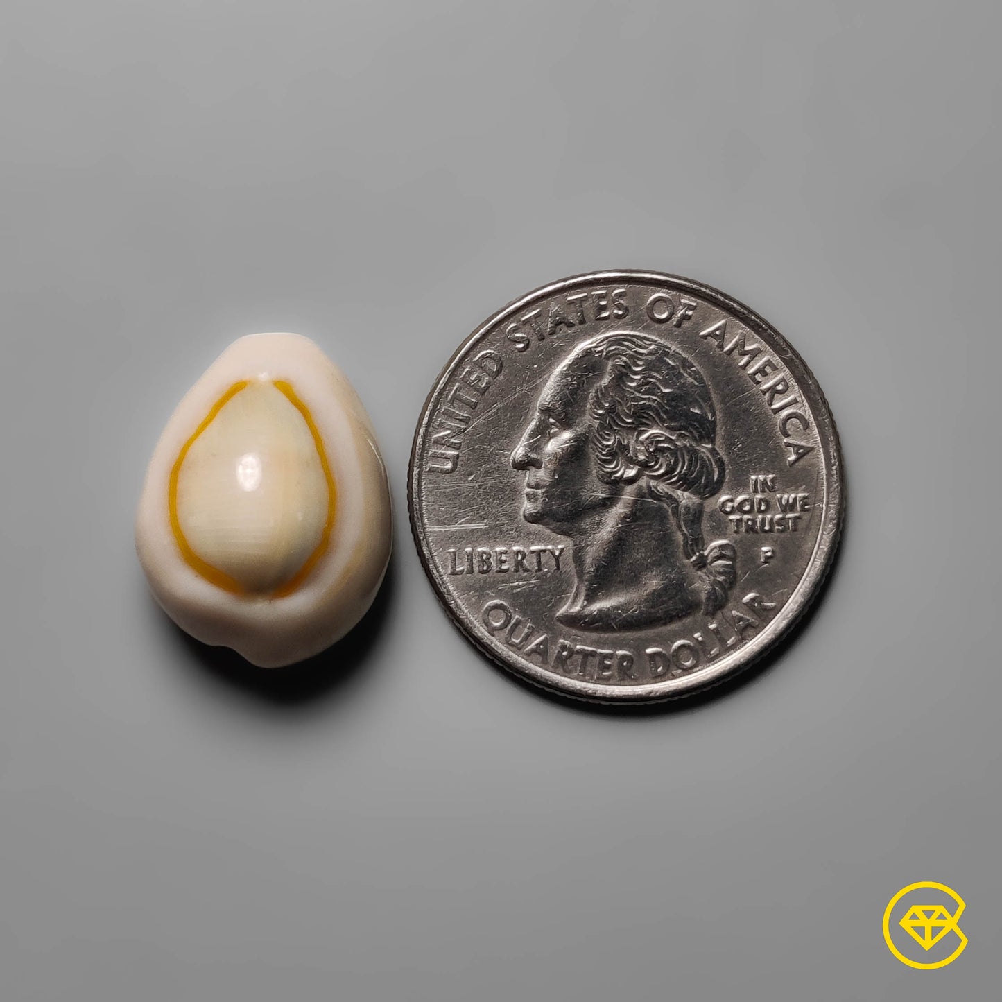 Shell