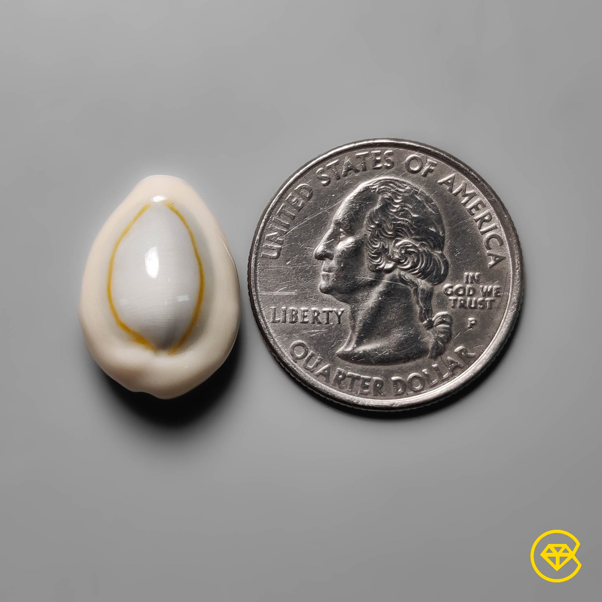 Shell
