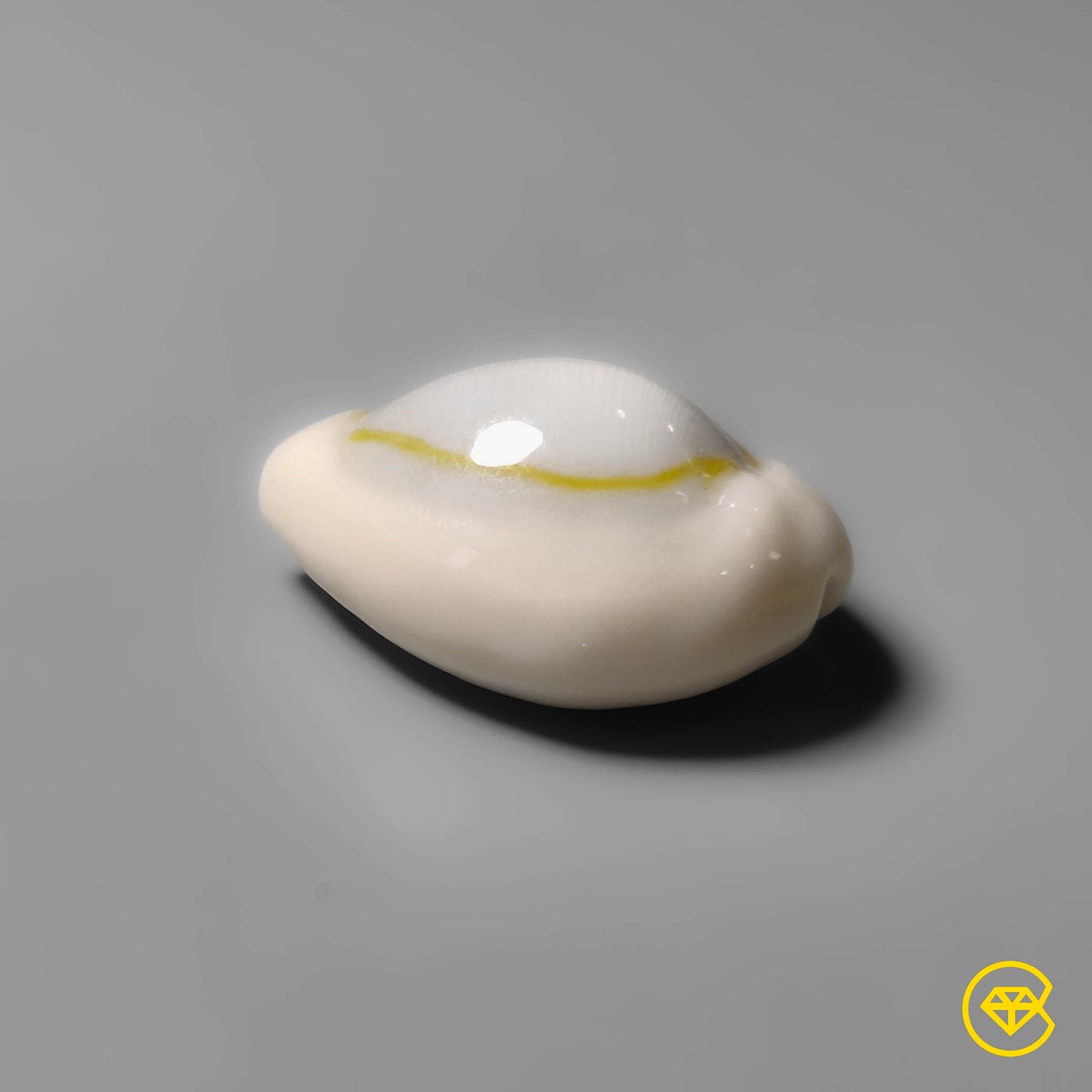 Shell