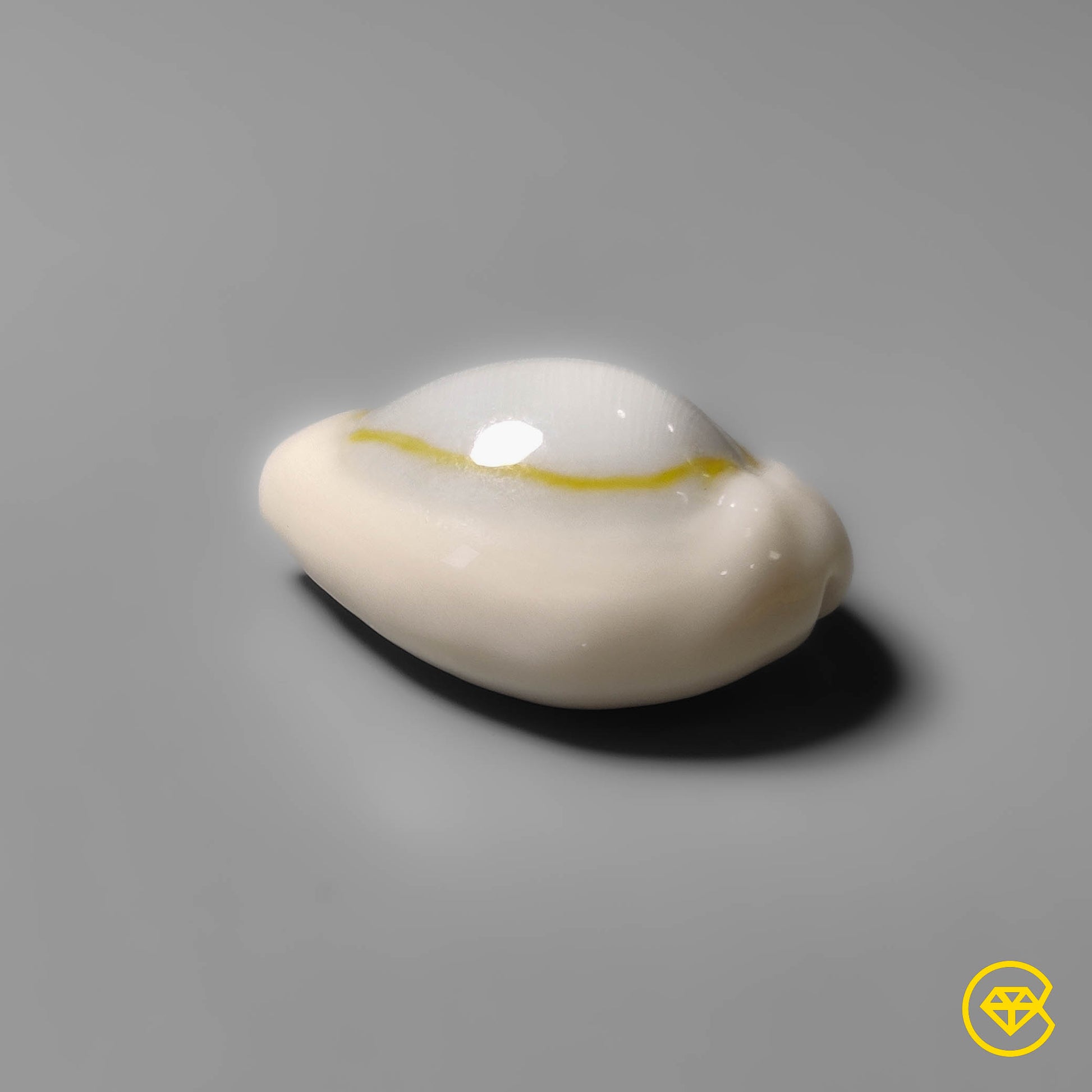 Shell