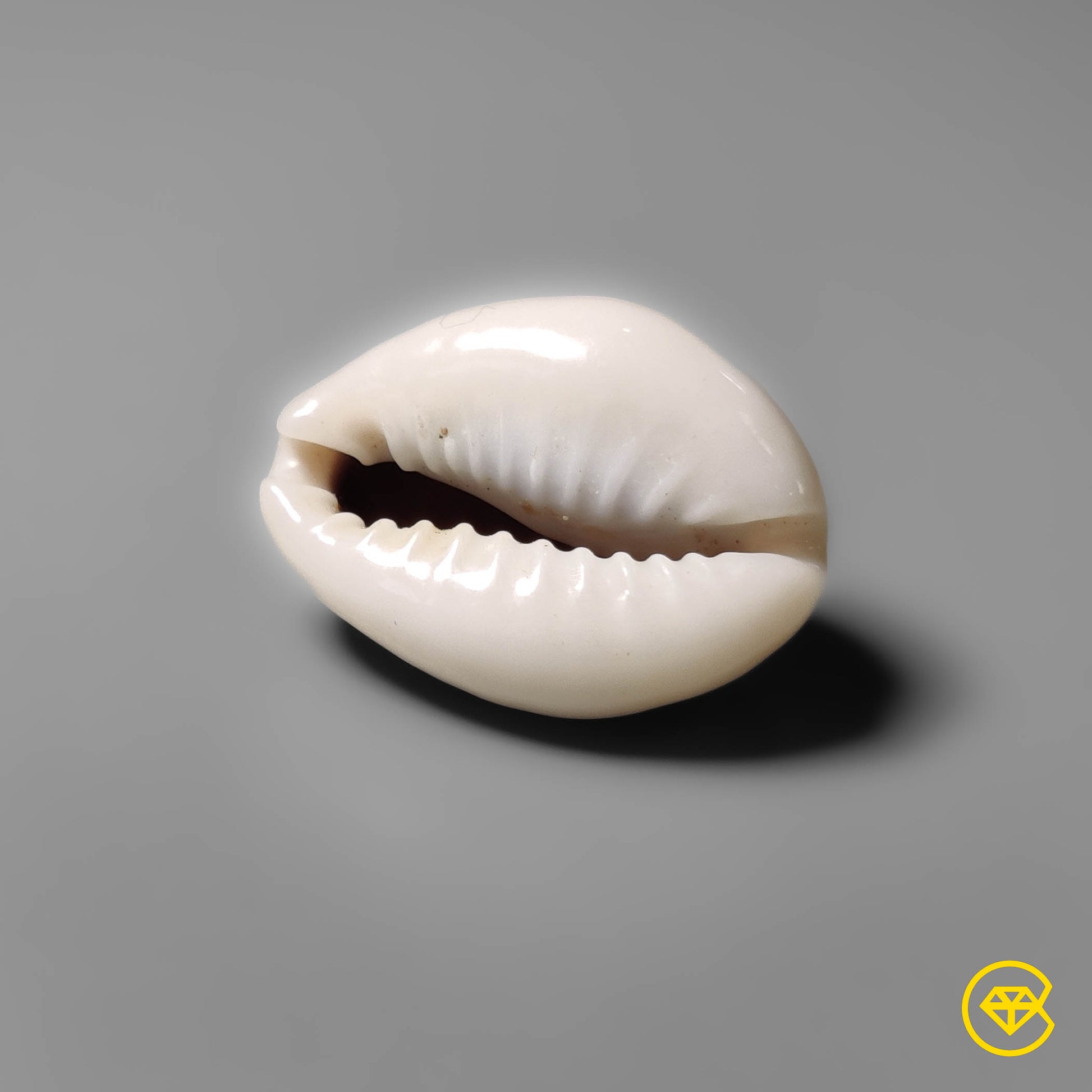 Shell