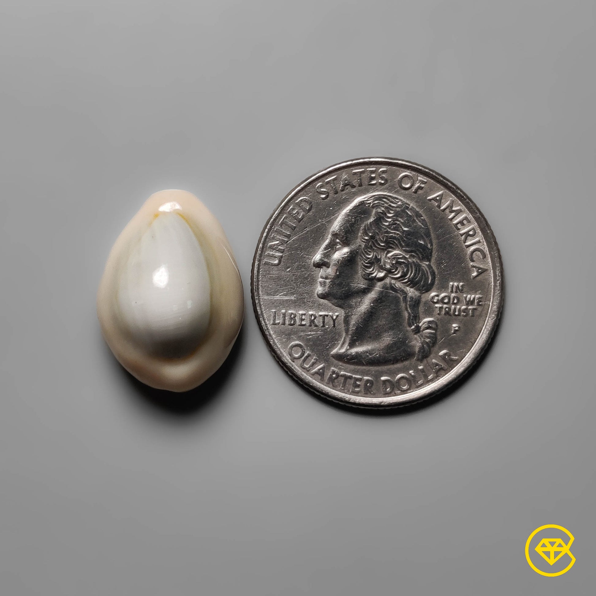 Shell