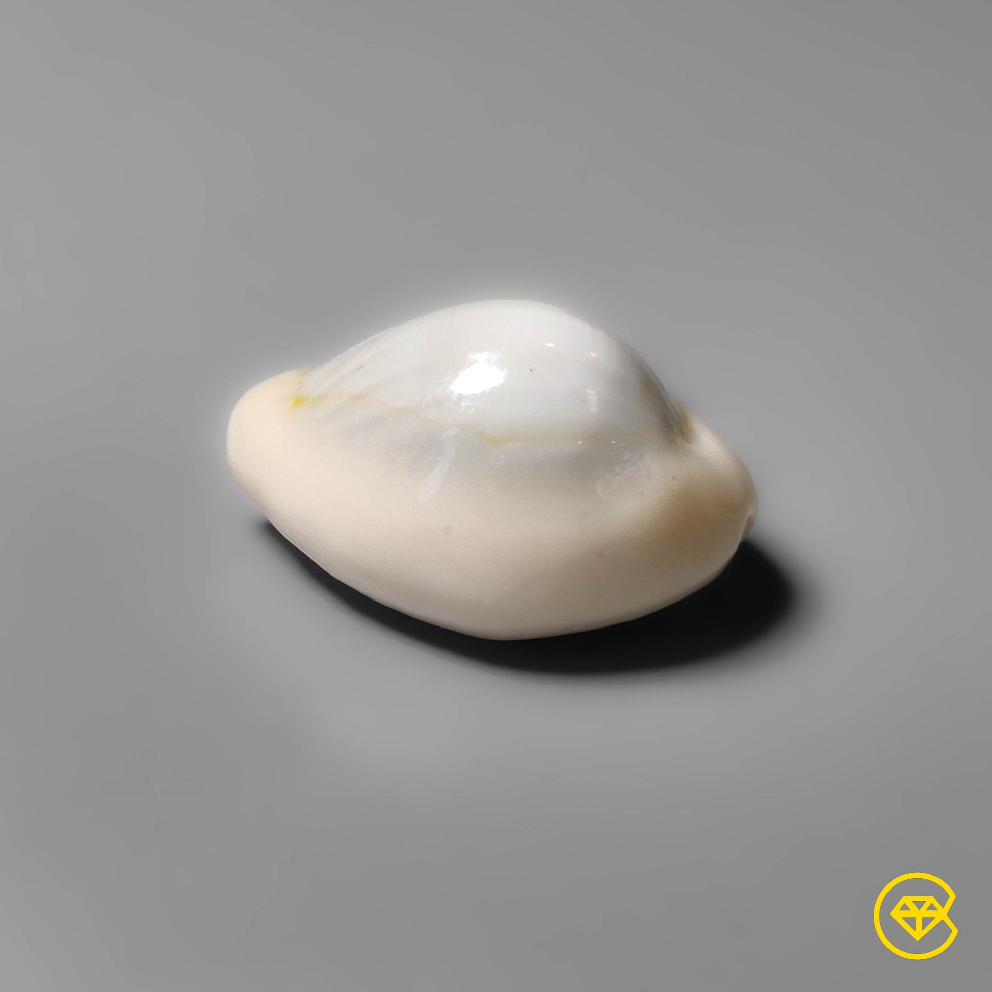 Shell