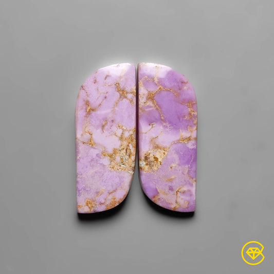Phosphosiderite