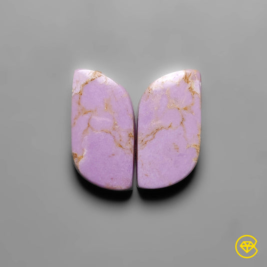 Phosphosiderite