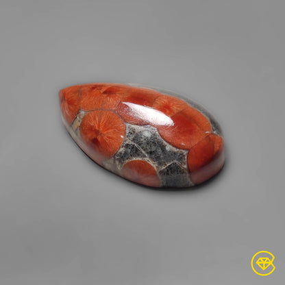 Obsidian