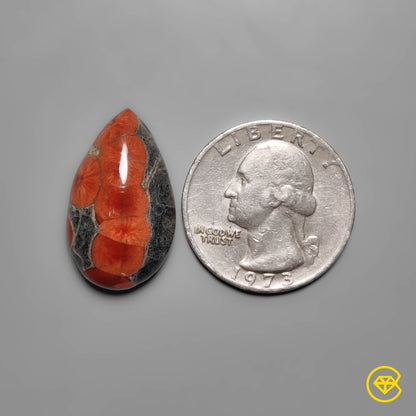 Obsidian
