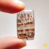 Cacoxenite|Quartz