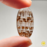 Cacoxenite|Quartz