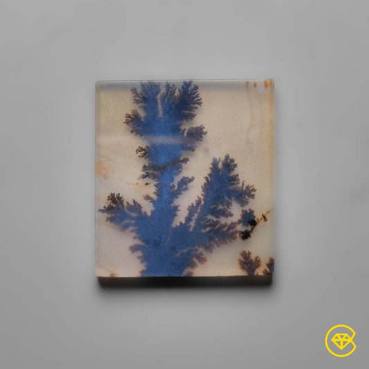 Scenic Agate