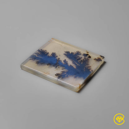Scenic Agate