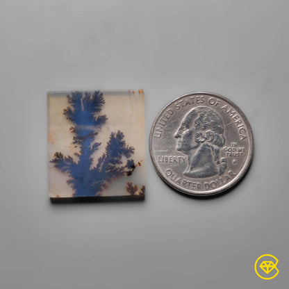Scenic Agate