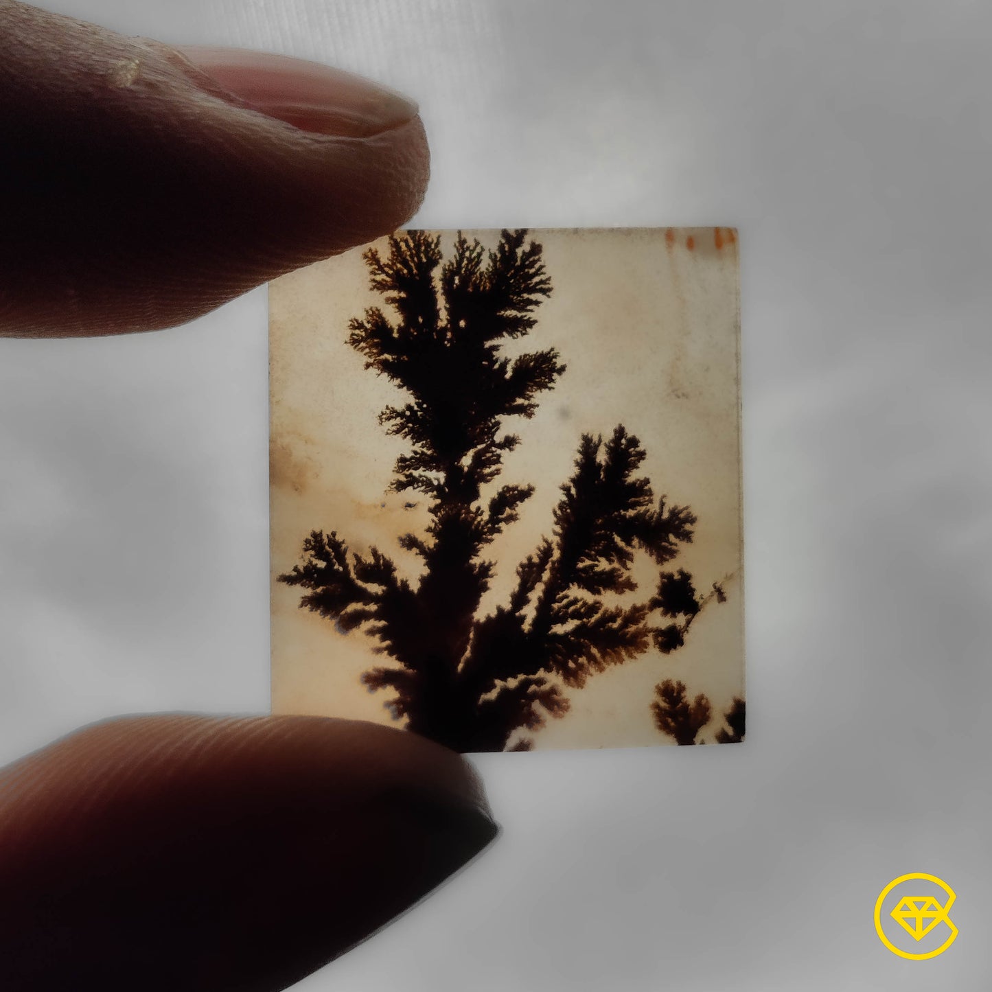 Scenic Agate