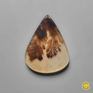 Large Scenic Dendritic Agate