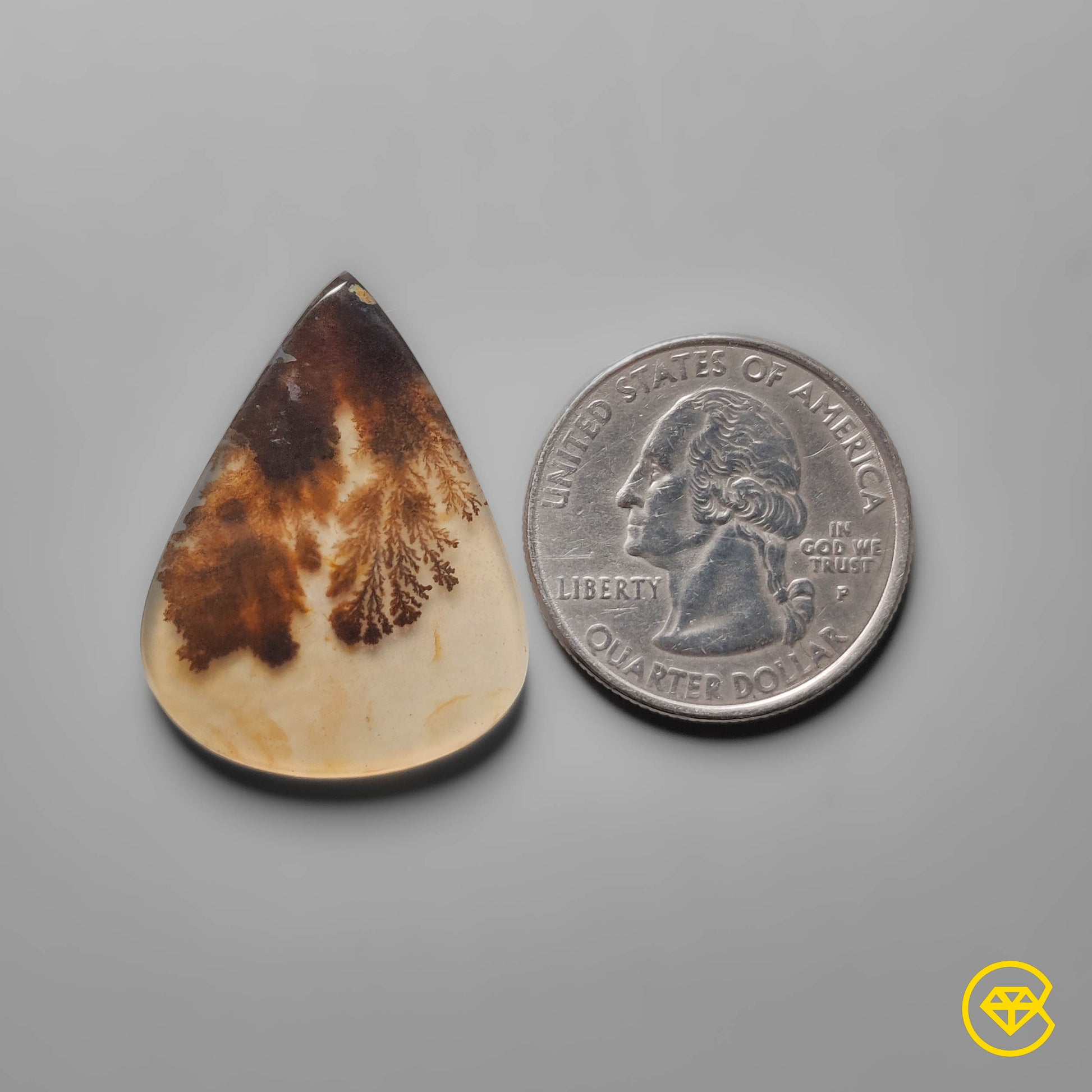 Scenic Agate
