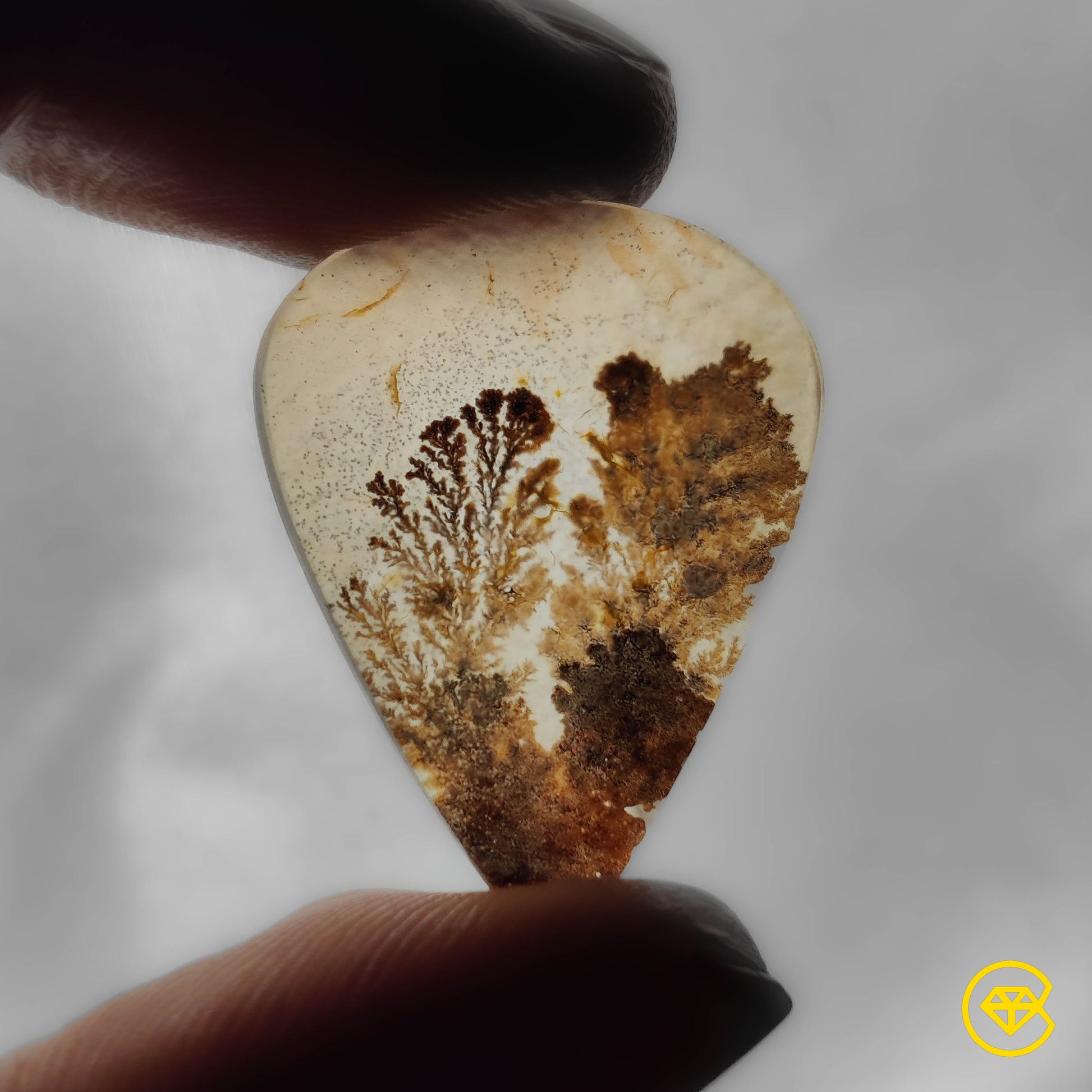 Scenic Agate