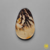 Scenic Agate