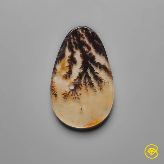 Scenic Agate