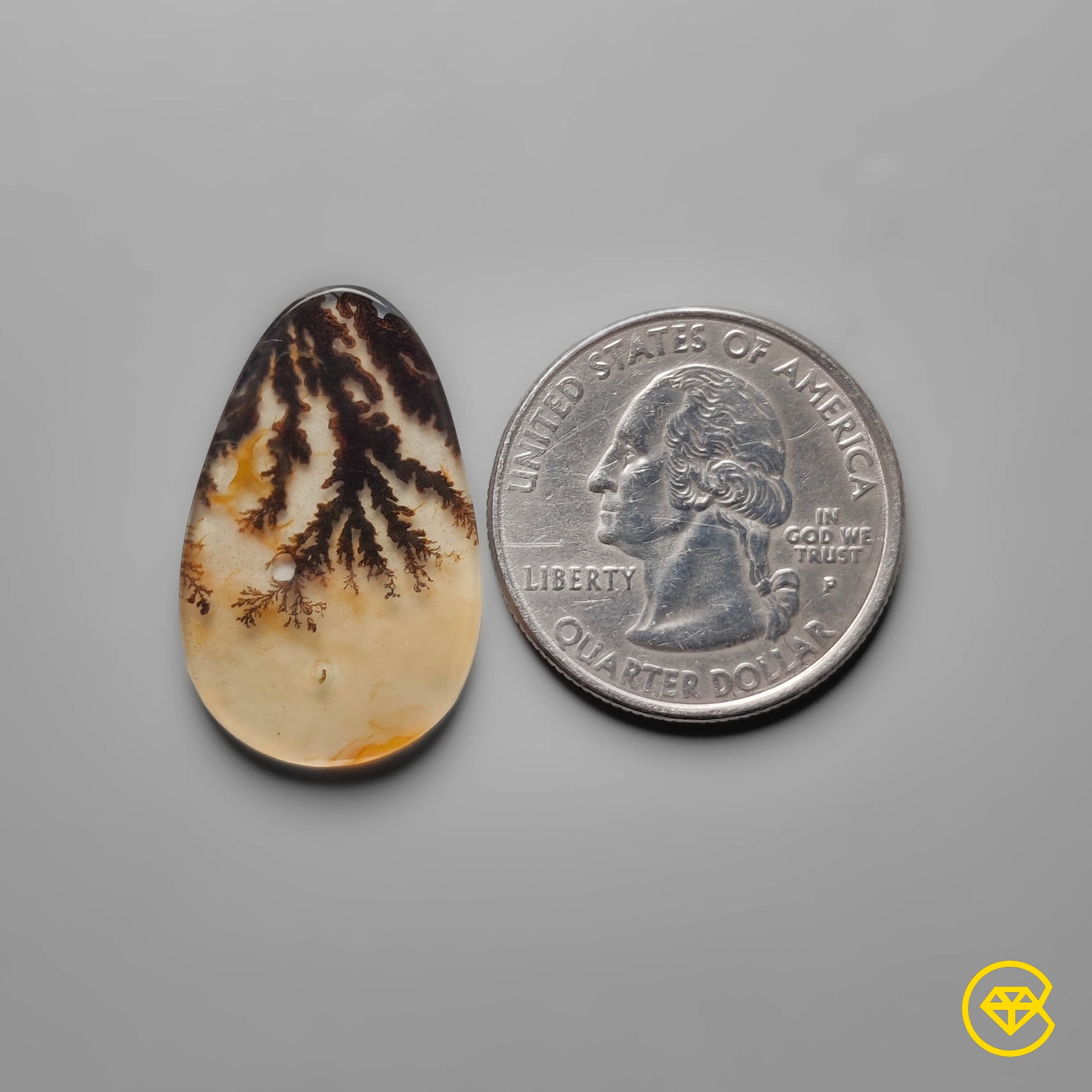 Scenic Agate
