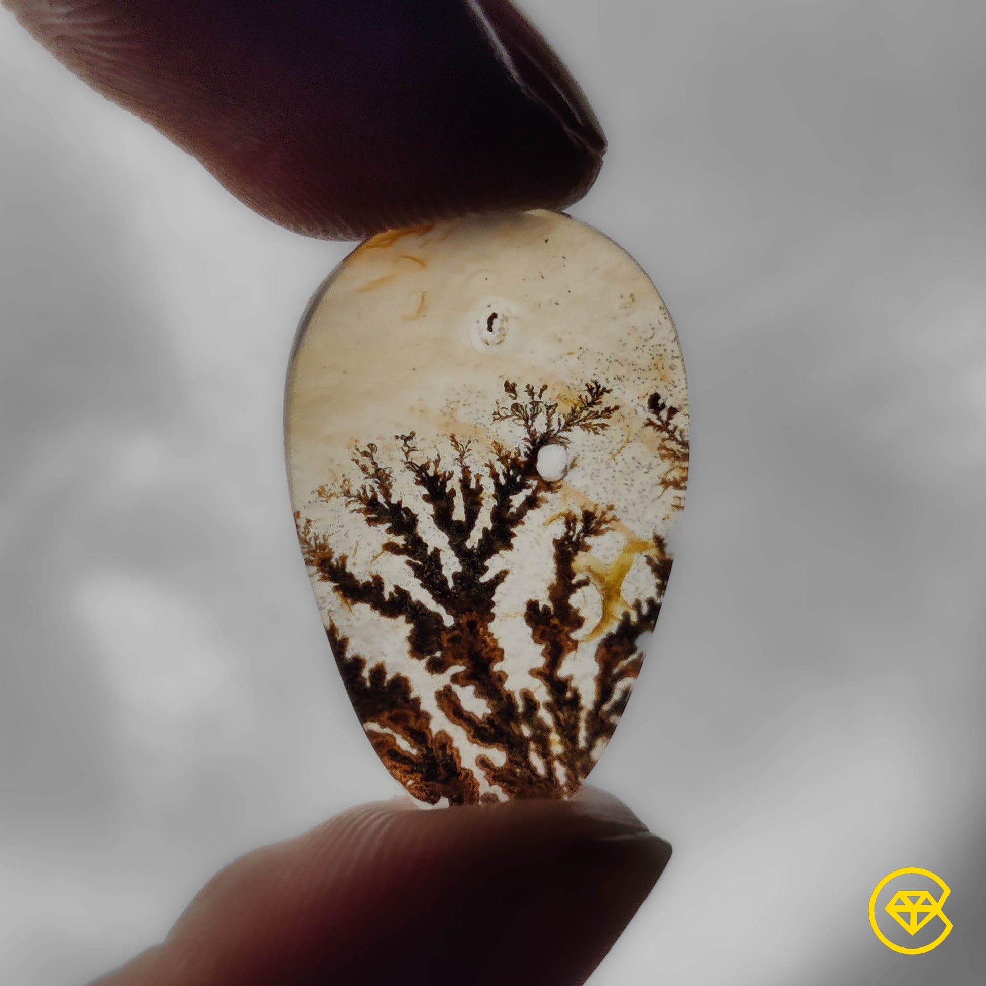 Scenic Agate