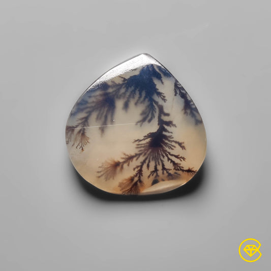 Scenic Agate