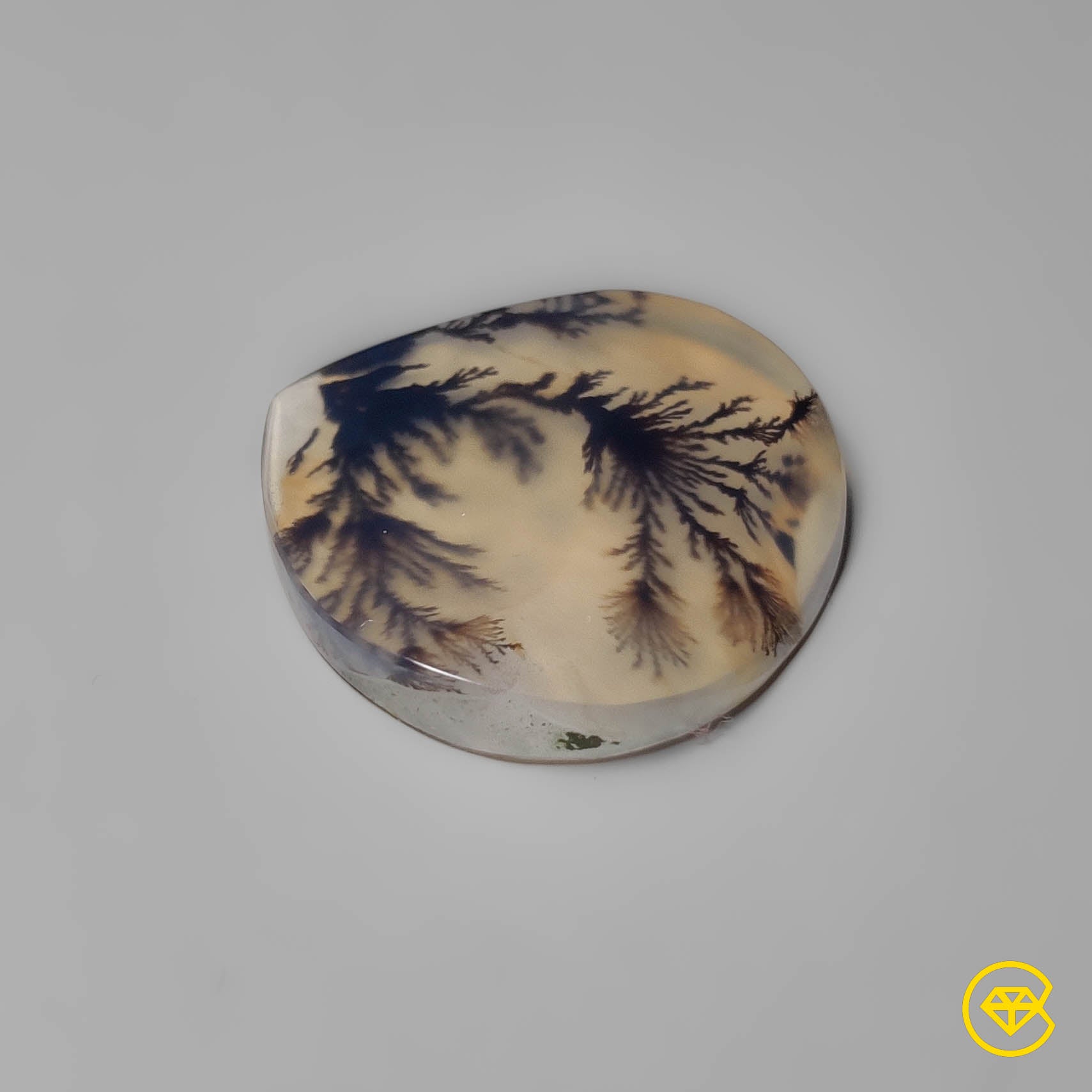 Scenic Agate