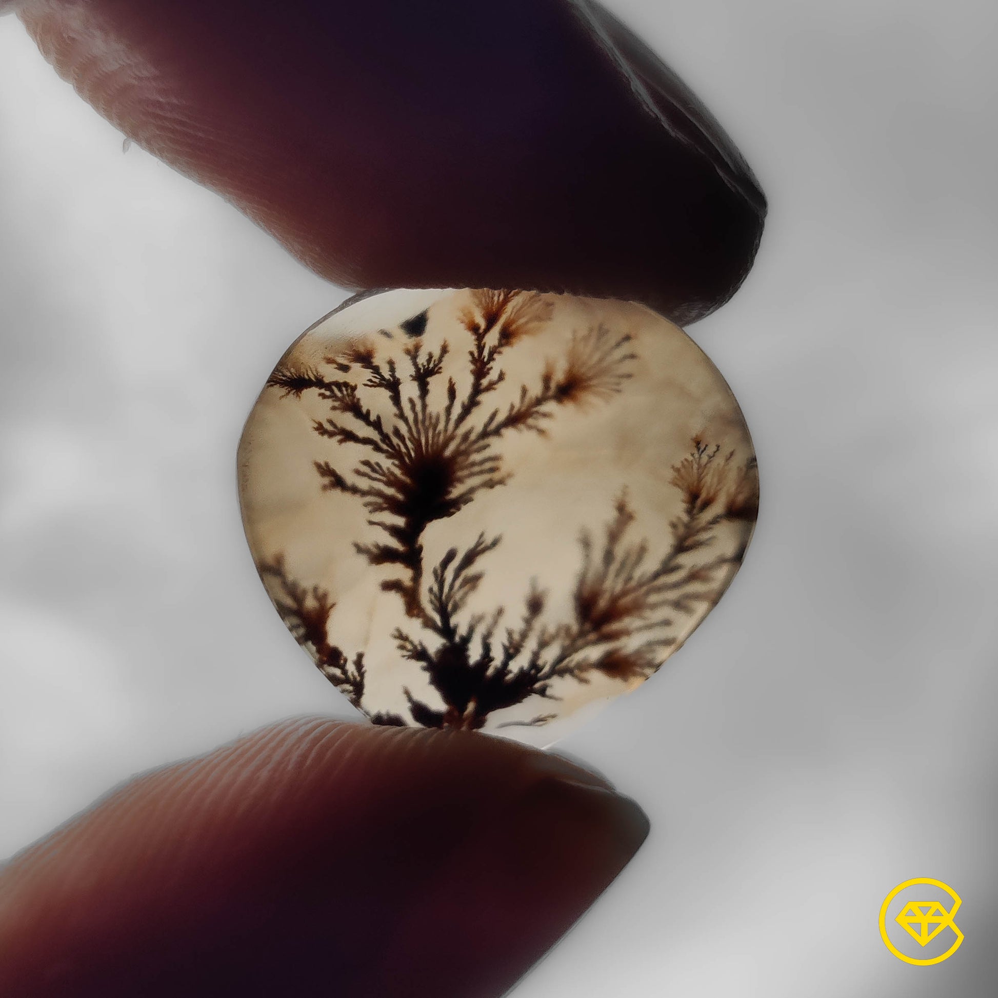 Scenic Agate