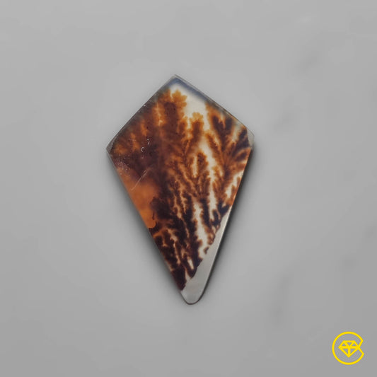 Scenic Agate