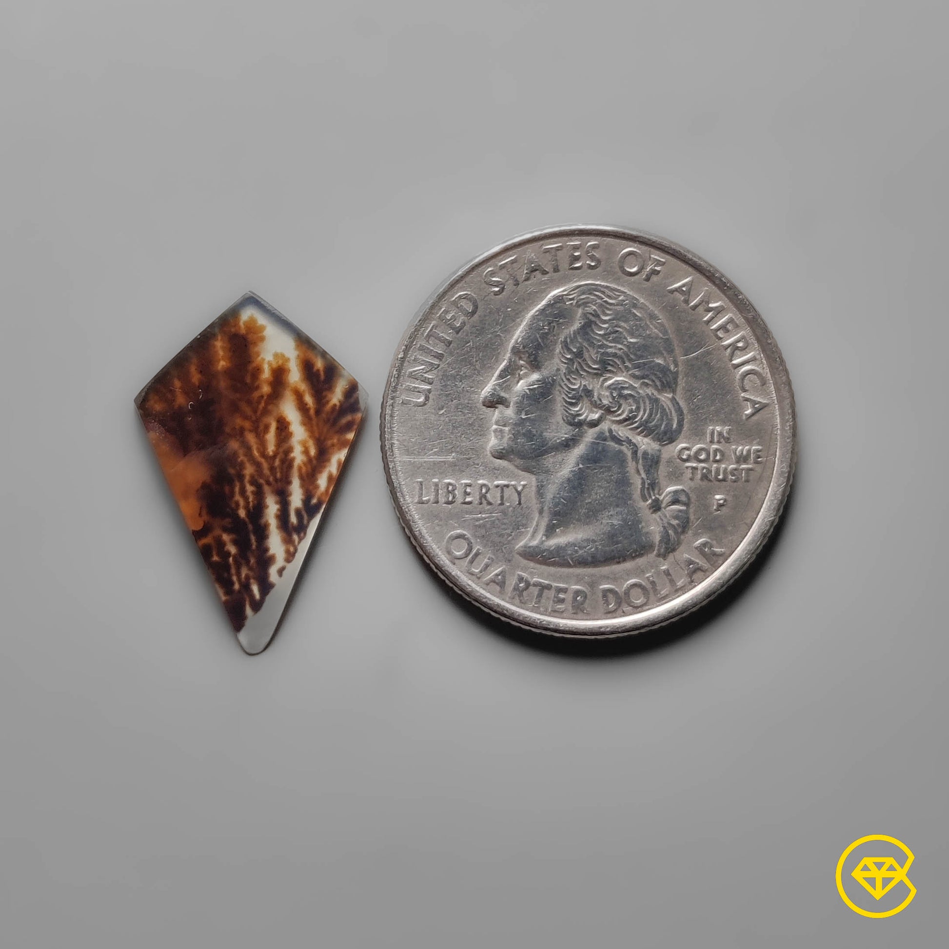 Scenic Agate