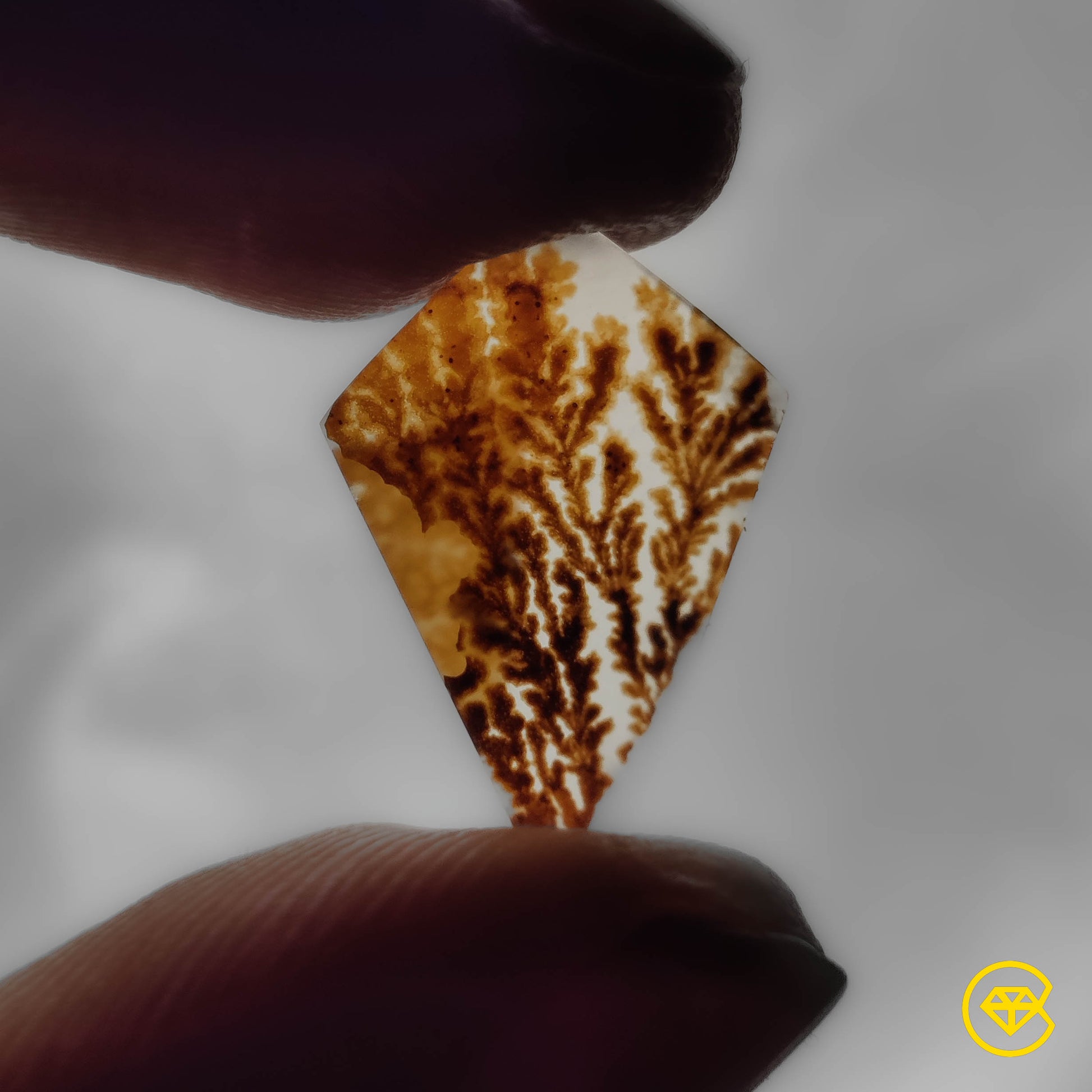 Scenic Agate