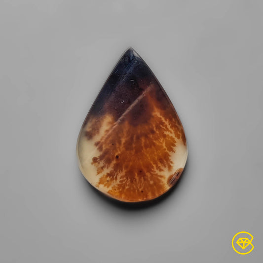Scenic Agate