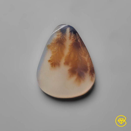 Scenic Agate