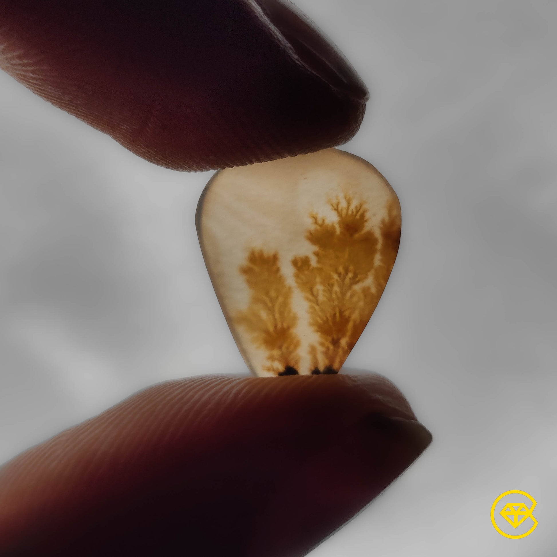 Scenic Agate