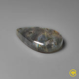 Spectrolite