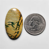 Picture Jasper