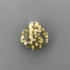 Ocean Jasper
