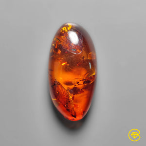 Baltic Amber Cabochon