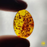 Amber