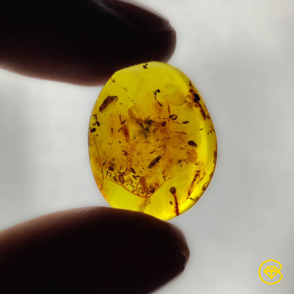 Amber