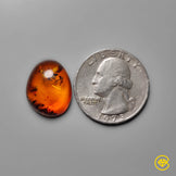 Amber