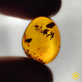 Amber