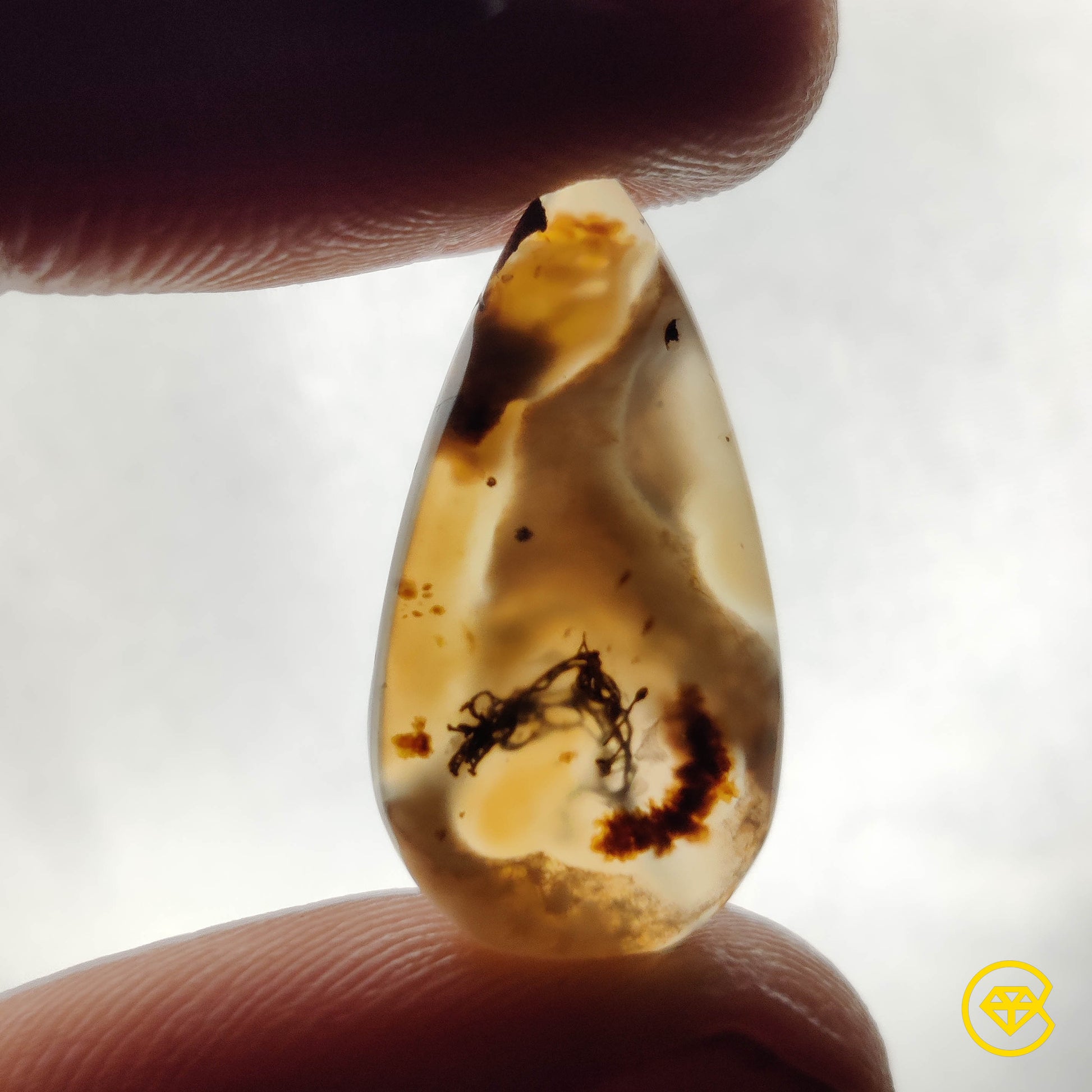 Montana Agate