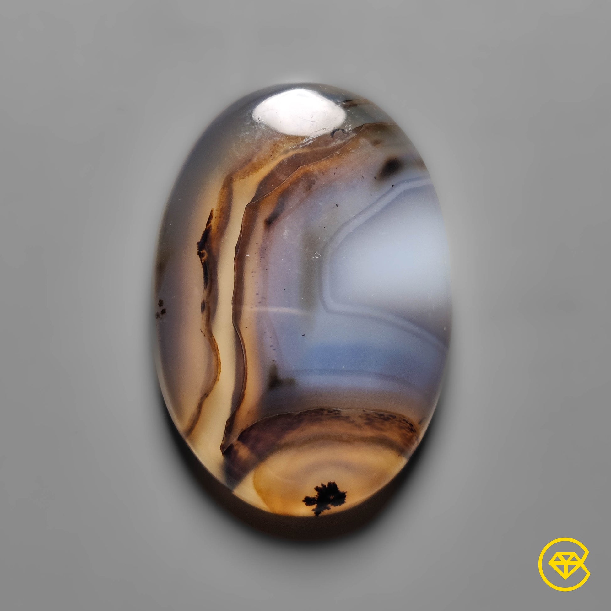Montana Agate